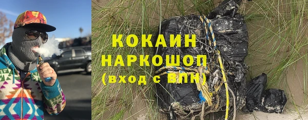 прущие грибы Россошь