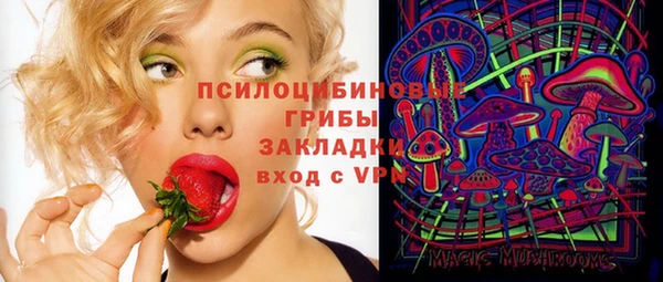 МДПВ Абинск