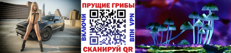 как найти закладки  Каменногорск  blacksprut ССЫЛКА  Псилоцибиновые грибы Psilocybe 
